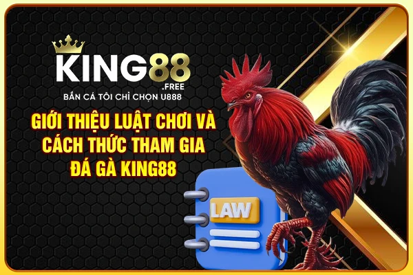 Giới thiệu luật chơi và cách thức tham gia đá gà King88