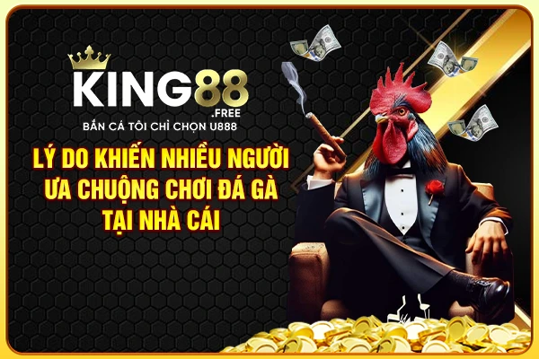Lý do khiến nhiều người ưa chuộng chơi đá gà tại nhà cái
