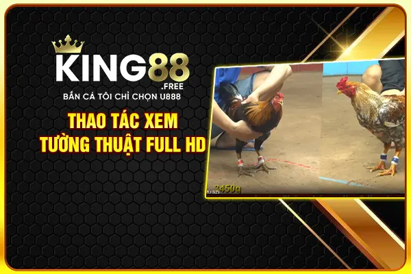 Thao tác xem tường thuật full HD