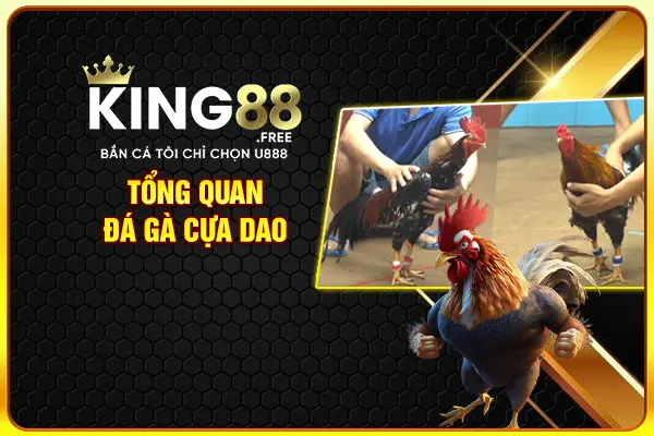 Tổng quan đá gà cựa dao